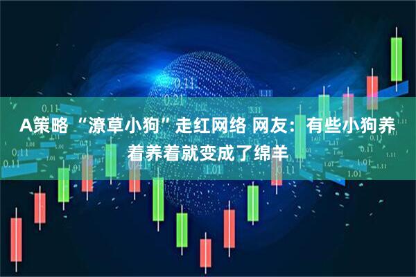 A策略 “潦草小狗”走红网络 网友：有些小狗养着养着就变成了绵羊