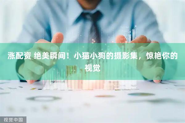 涨配资 绝美瞬间！小猫小狗的摄影集，惊艳你的视觉