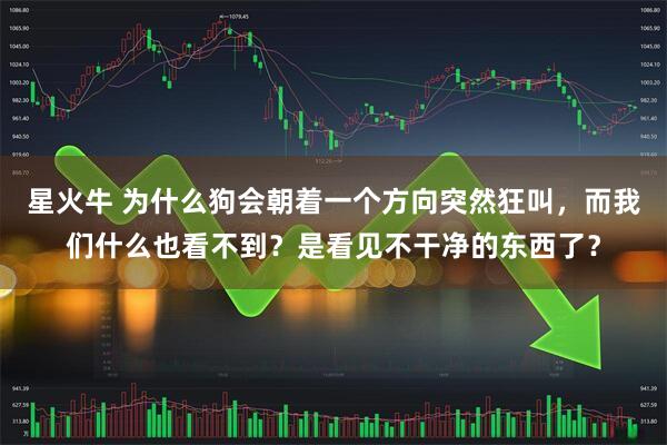 星火牛 为什么狗会朝着一个方向突然狂叫，而我们什么也看不到？是看见不干净的东西了？