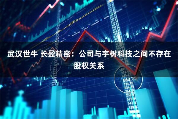 武汉世牛 长盈精密：公司与宇树科技之间不存在股权关系