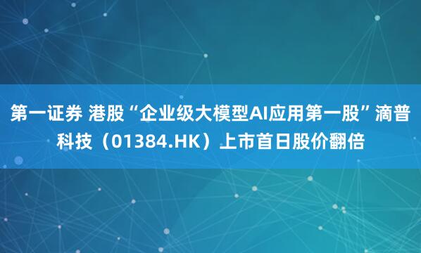 第一证券 港股“企业级大模型AI应用第一股”滴普科技（01384.HK）上市首日股价翻倍